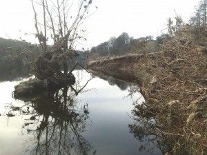 16 river bank erosion